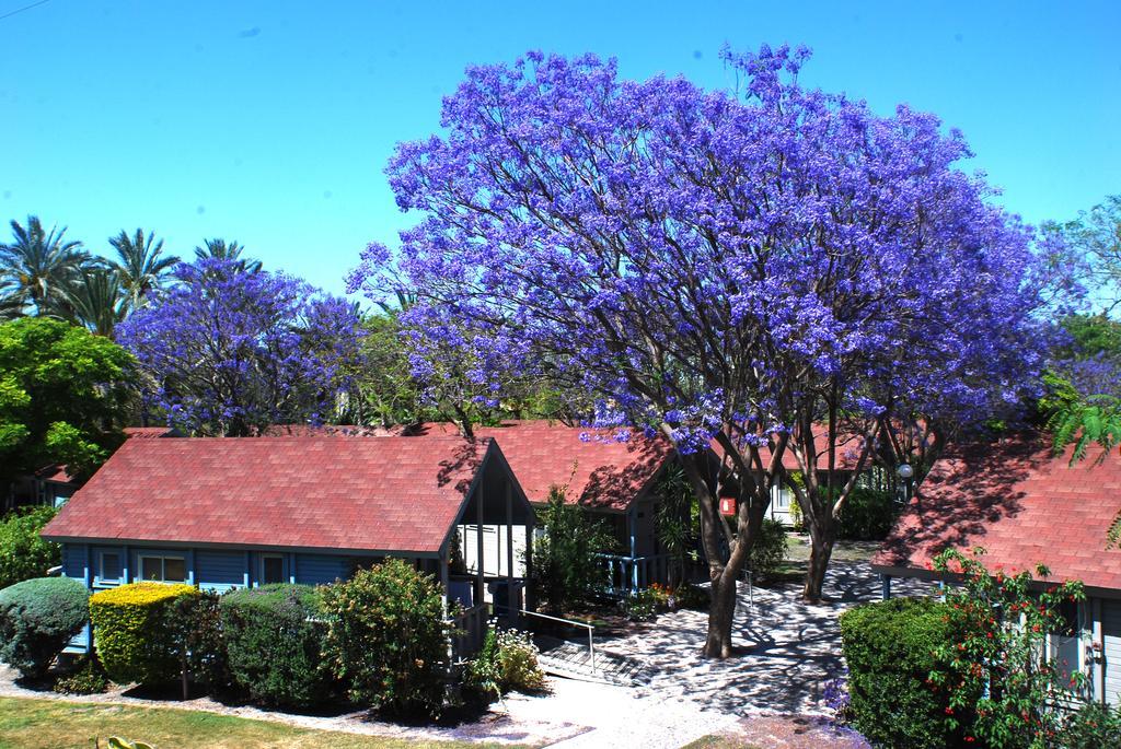 Nir David Country Lodge Dış mekan fotoğraf