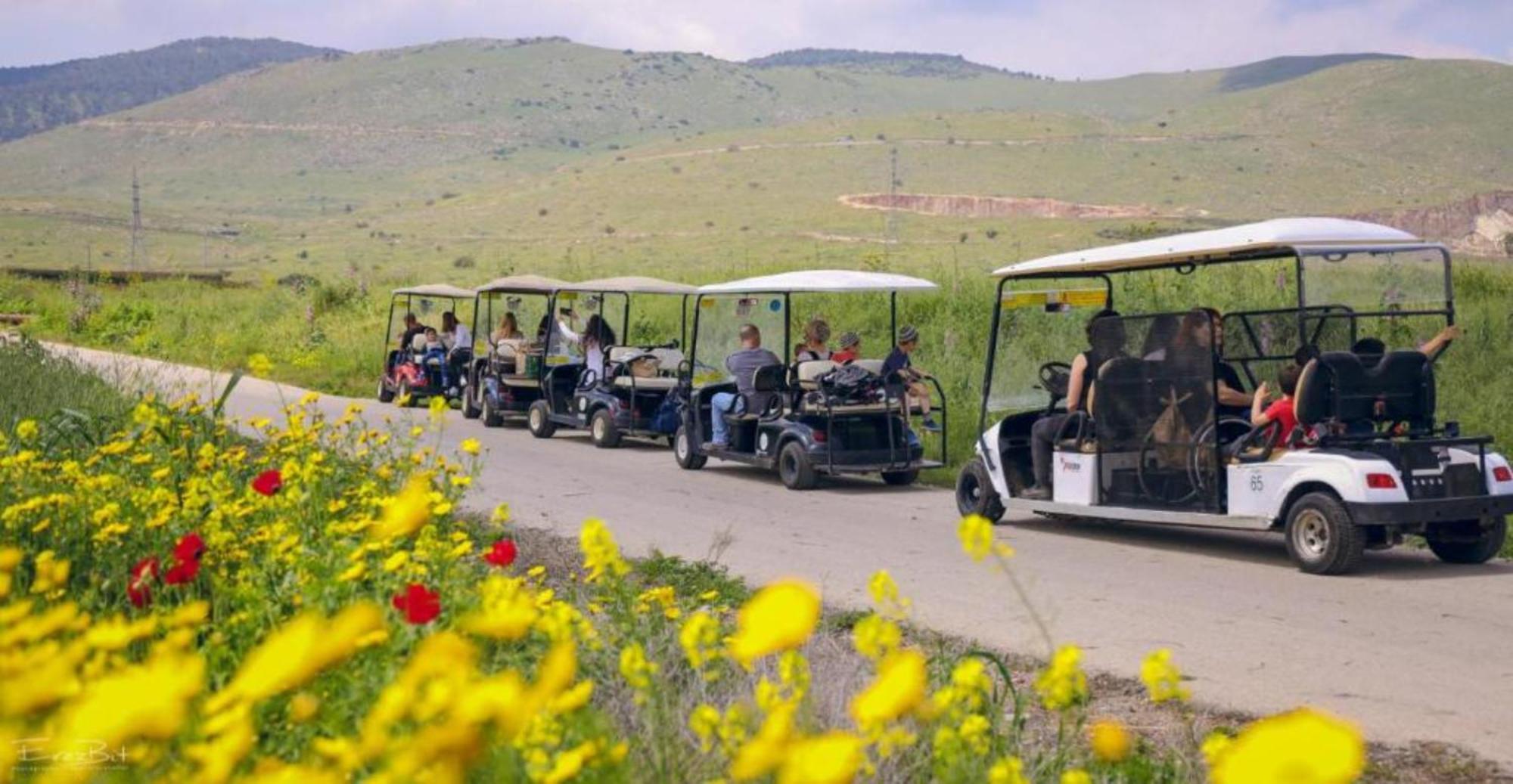 Nir David Country Lodge Dış mekan fotoğraf