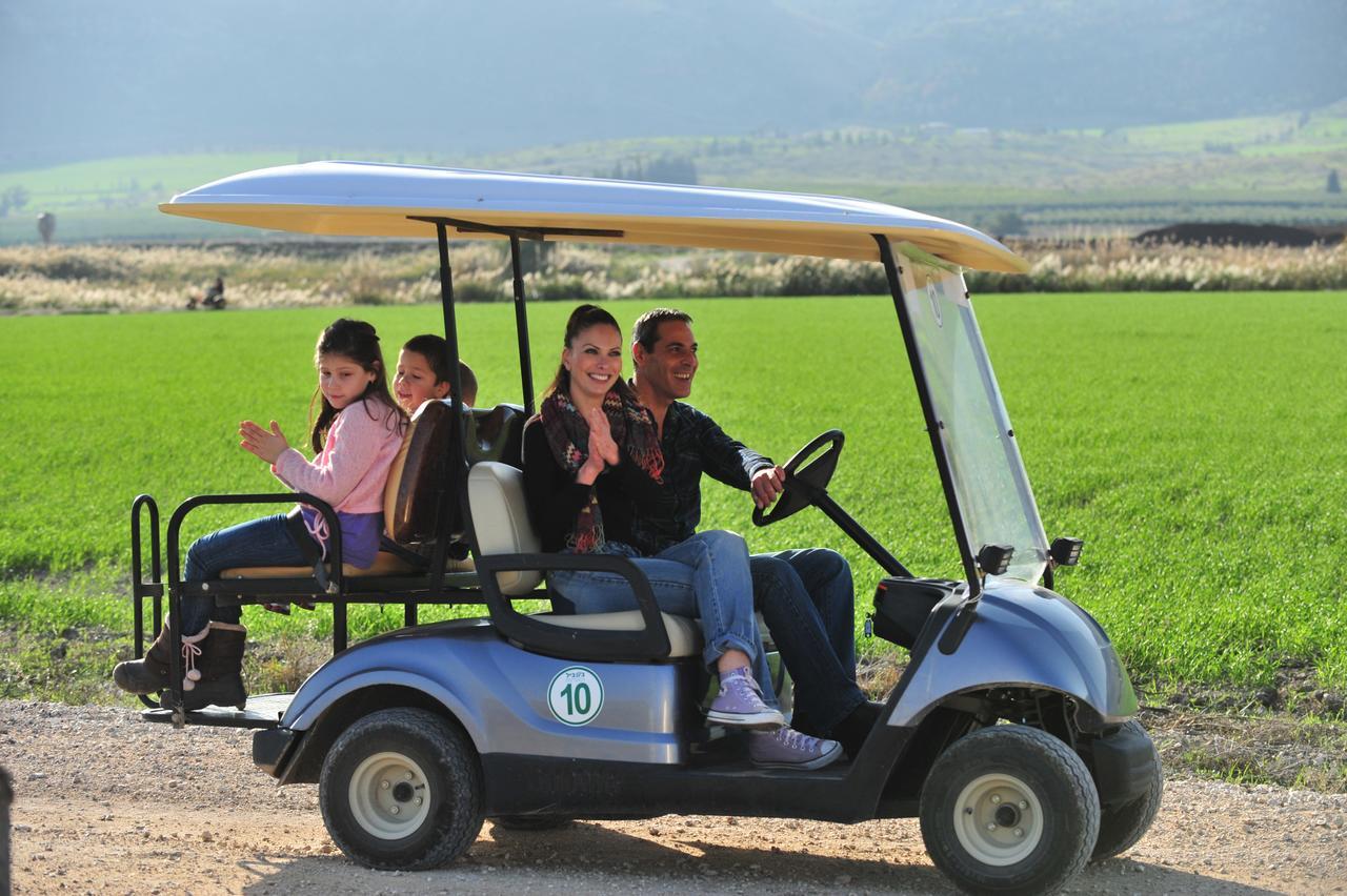 Nir David Country Lodge Dış mekan fotoğraf
